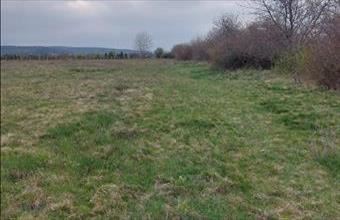 Eladó Ágfalvai külterületi telek hirdetés (25762396)