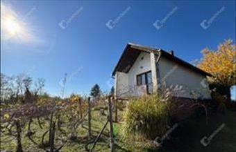 Eladó Pethőhenyei külterületi telek hirdetés (78515934)