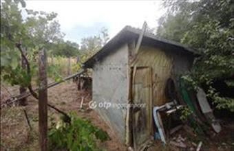 Eladó Szekszárdi egyéb telek hirdetés (93447948)