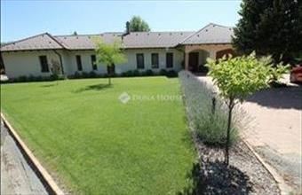 Eladó Kecskeméti családi ház hirdetés (55442245)