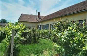 Eladó Vésztői családi ház hirdetés (33824265)