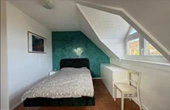 Kiadó Csopaki tégla lakás hirdetés (45397934)