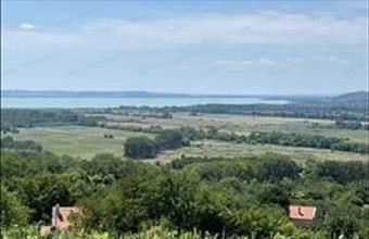 Eladó Hegymagasi egyéb mezőgazdasági ingatlan hirdetés (36745393)