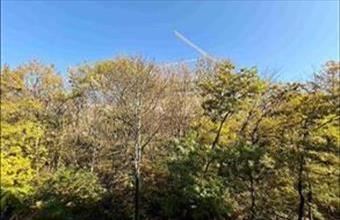 Eladó Budapest I. kerületi tégla lakás hirdetés (24734425)