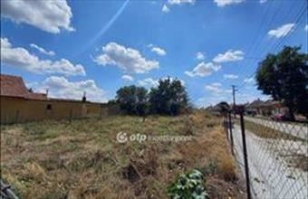 Eladó Csongrádi lakóövezeti telek hirdetés (94459743)