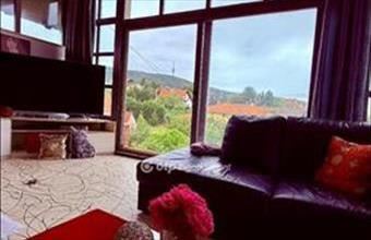 Eladó Pécsi családi ház hirdetés (24836473)