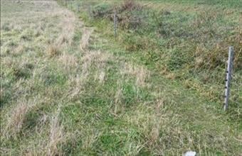 Eladó Ipolyszögi külterületi telek hirdetés (42783293)