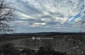 Eladó Csókakői külterületi telek hirdetés (86177285)