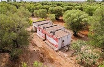 Eladó Görögországi családi ház hirdetés (74935437)