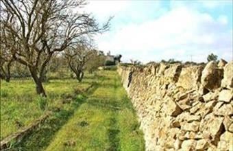 Eladó Görögországi családi ház hirdetés (29697463)