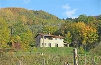 Eladó Görögországi családi ház hirdetés (31328777)