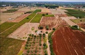 Eladó Görögországi családi ház hirdetés (54399497)