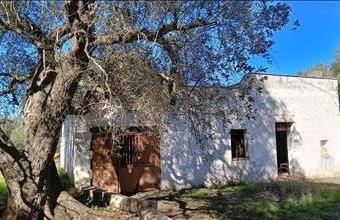 Eladó Görögországi családi ház hirdetés (53593567)