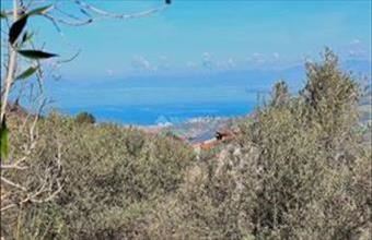 Eladó Görögországi üdülő hirdetés (97676944)