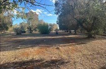 Eladó Görögországi családi ház hirdetés (25822495)