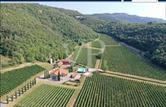 Eladó Görögországi üdülő hirdetés (12496368)