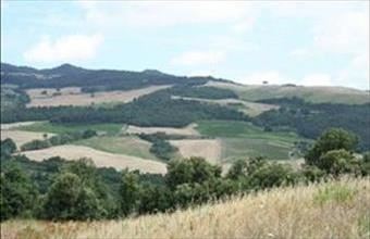 Eladó Görögországi üdülő hirdetés (73381449)