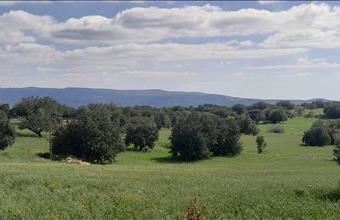 Eladó Görögországi üdülő hirdetés (25176734)