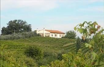 Eladó Görögországi családi ház hirdetés (64334657)