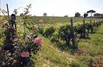 Eladó Görögországi családi ház hirdetés (54685383)