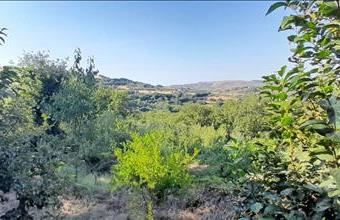 Eladó Görögországi üdülő hirdetés (93454642)