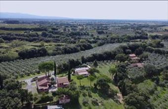 Eladó Görögországi családi ház hirdetés (98827995)