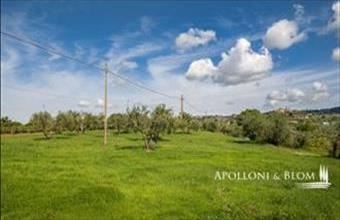 Eladó Görögországi családi ház hirdetés (76753415)