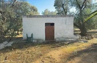 Eladó Görögországi családi ház hirdetés (88987464)