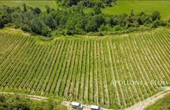 Eladó Görögországi üdülő hirdetés (73238435)