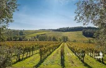 Eladó Görögországi családi ház hirdetés (77452684)