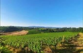 Eladó Görögországi üdülő hirdetés (13338857)