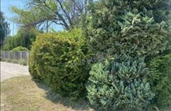 Eladó Dunaharaszti egyéb telek hirdetés (84484743)