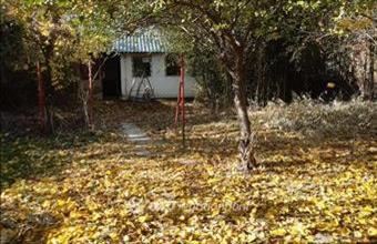 Eladó Dömsödi lakóövezeti telek hirdetés (98979244)