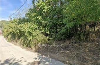 Eladó Szekszárdi lakóövezeti telek hirdetés (45732754)