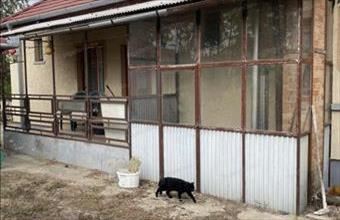 Eladó Kecskeméti családi ház hirdetés (72547938)