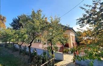 Eladó Tiszasasi családi ház hirdetés (45436777)