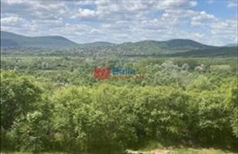 Eladó Szentendrei egyéb telek hirdetés (79357334)