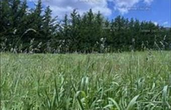 Eladó Budapest III. kerületi lakóövezeti telek hirdetés (44525449)