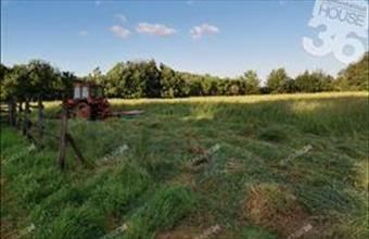 Eladó Nagykőrösi családi ház hirdetés (57919332)