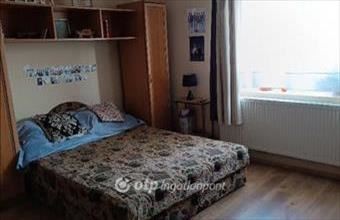 Eladó Kállósemjéni családi ház hirdetés (19654256)