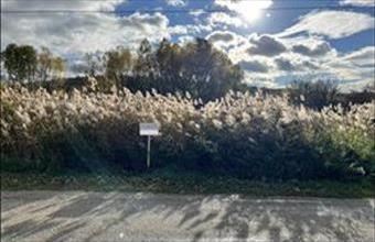 Eladó Bakonycsernyei lakóövezeti telek hirdetés (35955359)