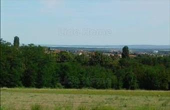 Eladó Nemesbüki lakóövezeti telek hirdetés (65623623)