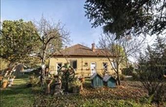 Eladó Kecskeméti tanya hirdetés (55648436)