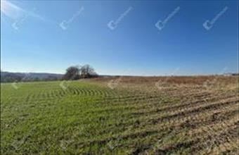 Eladó Gombai lakóövezeti telek hirdetés (44342997)