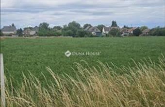 Eladó Koroncói lakóövezeti telek hirdetés (79777763)
