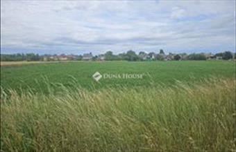 Eladó Koroncói lakóövezeti telek hirdetés (46355687)