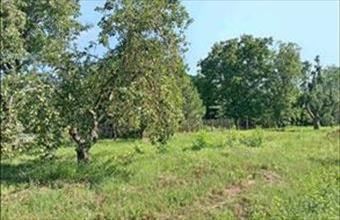 Eladó Gyömörei egyéb telek hirdetés (92423457)