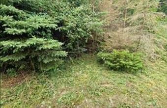 Eladó Kustánszegi lakóövezeti telek hirdetés (43943381)