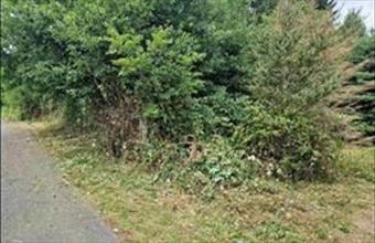 Eladó Kustánszegi lakóövezeti telek hirdetés (43943381)