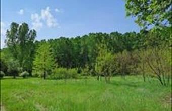 Eladó Monori külterületi telek hirdetés (23499757)